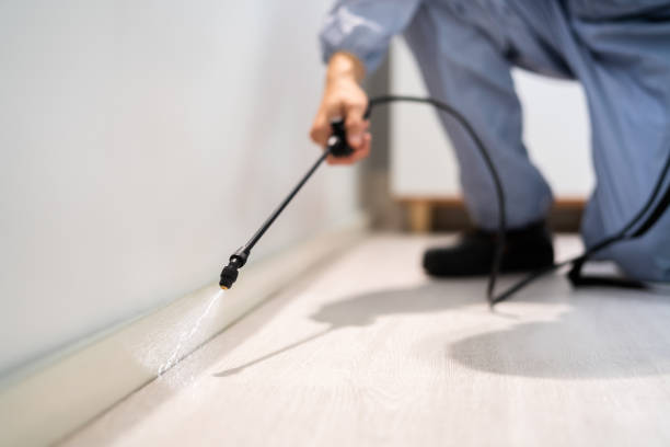 Licensed Pest Control service in Orangevale, CA - Show Me Pest Control